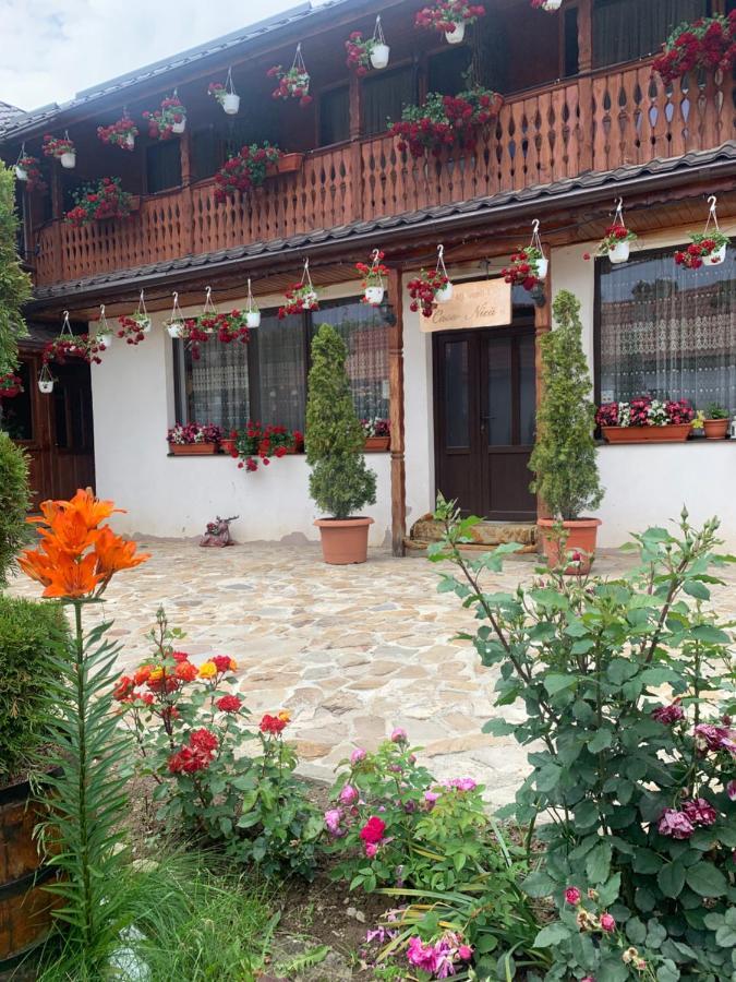 Agropensiunea Casa Nica Margineni  Exterior foto