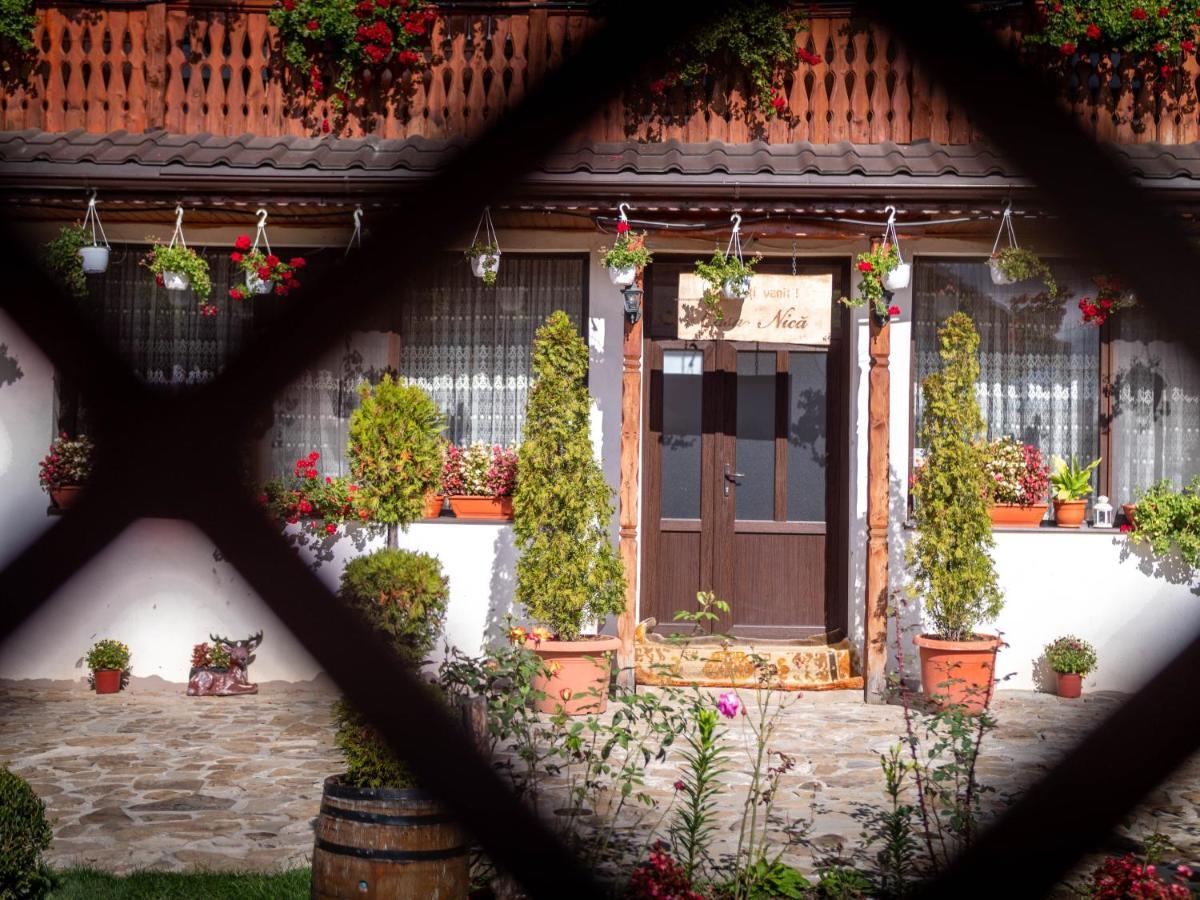 Agropensiunea Casa Nica Margineni  Exterior foto