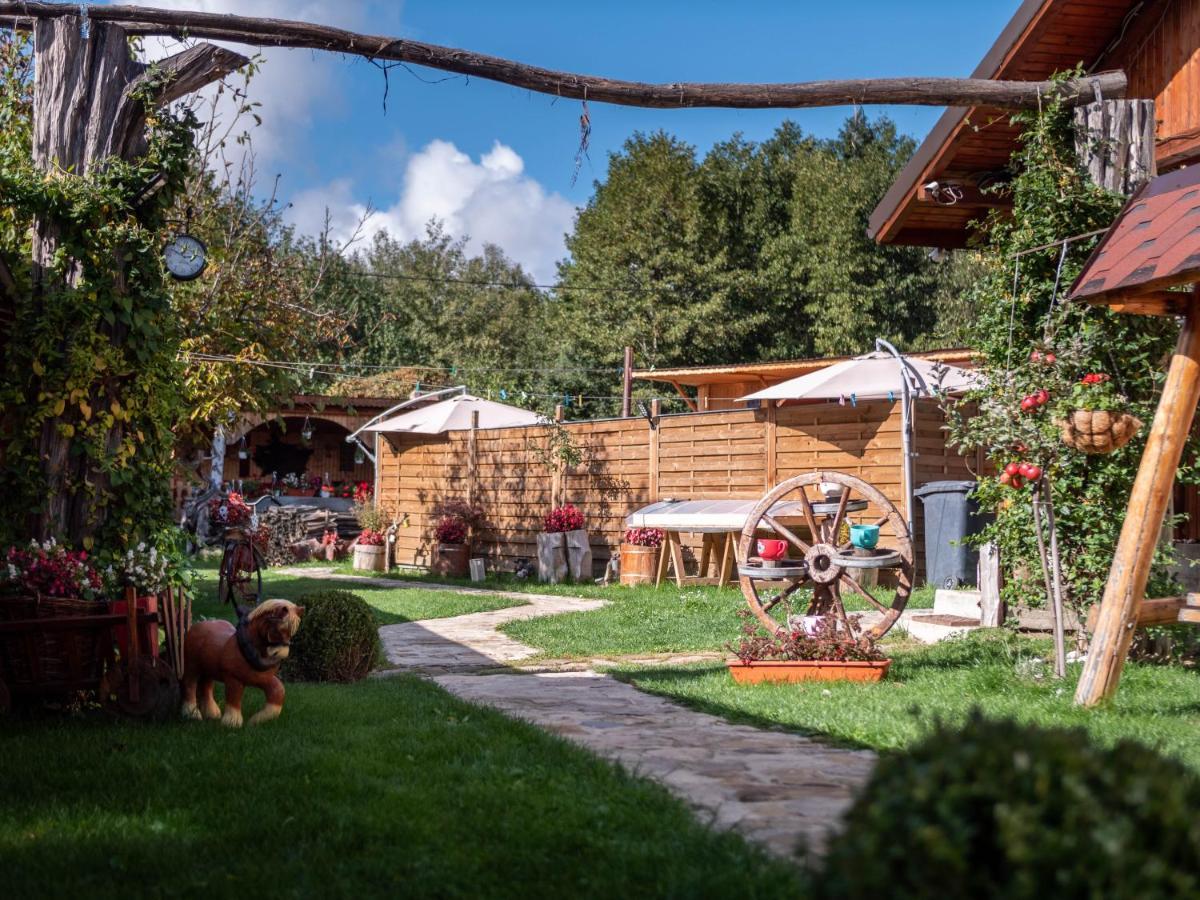Agropensiunea Casa Nica Margineni  Exterior foto